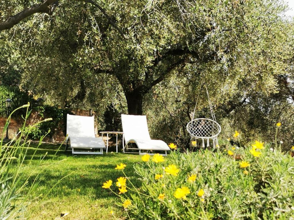 Agriturismo C'Era Una Volta Camporosso  Bagian luar foto