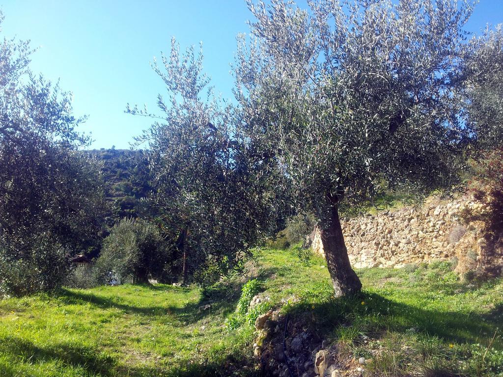 Agriturismo C'Era Una Volta Camporosso  Bagian luar foto