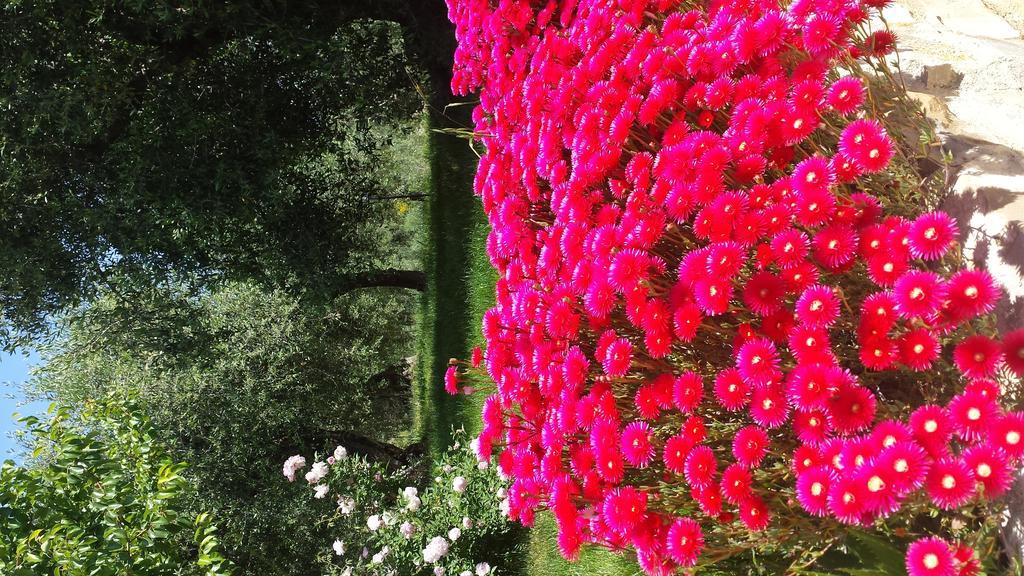 Agriturismo C'Era Una Volta Camporosso  Bagian luar foto